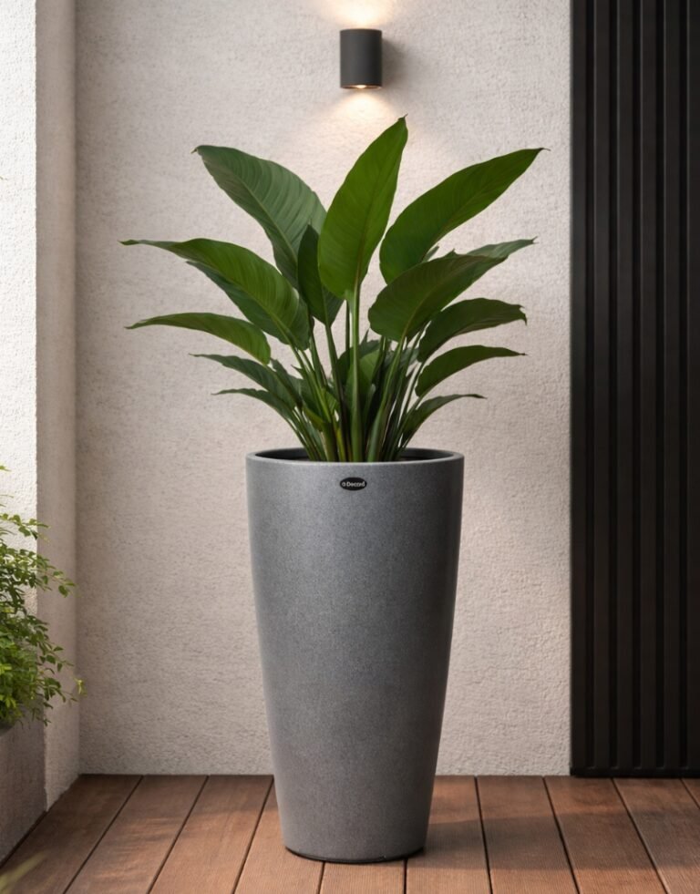 ABOUT INTERMOLDE IMAGE